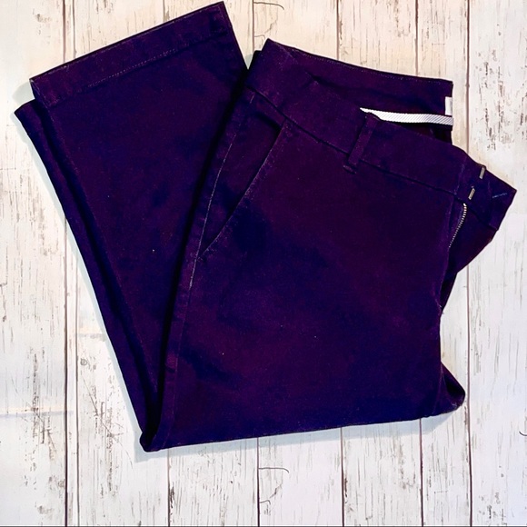 Market & Spruce Navy Capri Pants- Stitch Fix 16 W - Picture 4 of 7